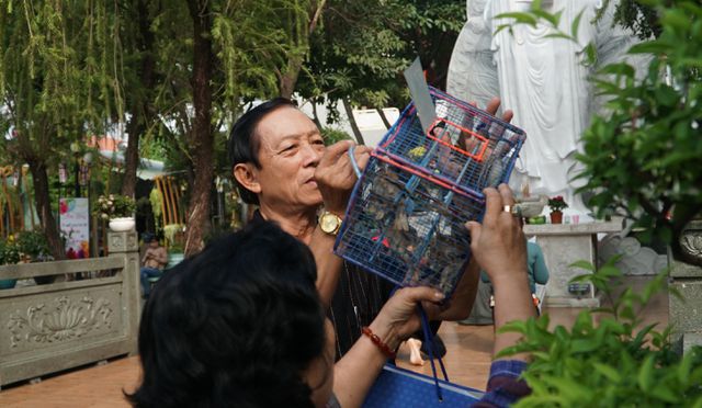 Người[-]thả[-]cá,[-]người[-]chờ[-]sẵn...[-]chích[-]điện[-]vợt[-]cá!